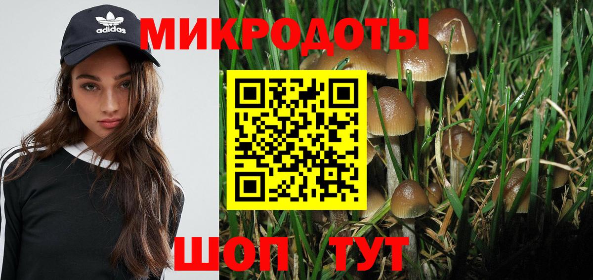 Скопин  Псилоцибиновые грибы MAGIC MUSHROOMS  Вход с VPN  Псилоцибиновые грибы ЛСД 