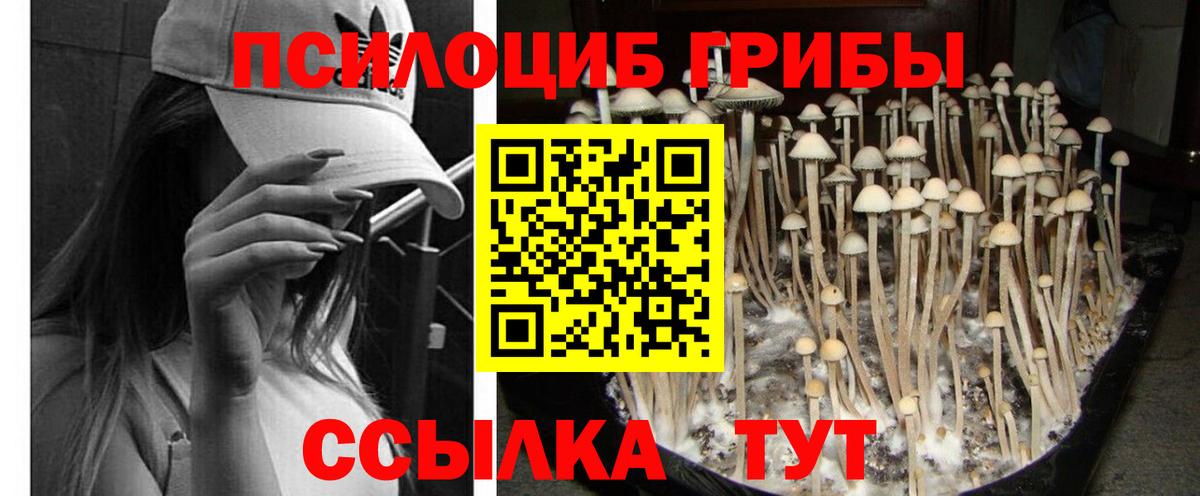 Галлюциногенные грибы MAGIC MUSHROOMS Скопин