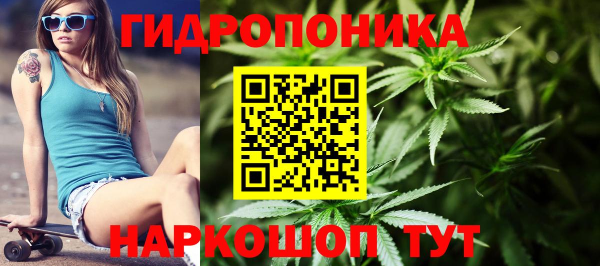 Бошки марихуана марихуана  Шишки марихуана марихуана  Марихуана Ganja  Вход с VPN  Скопин 